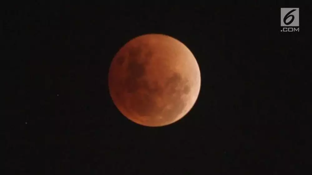 Fakta bulan purnama © 2020 liputan6.com/Arya Manggala ; AP Photo/Ariel Schalit via liputan6.com Fakta bulan purnama © 2020 liputan6.com/Arya Manggala ; AP Photo/Ariel Schalit via liputan6.com
