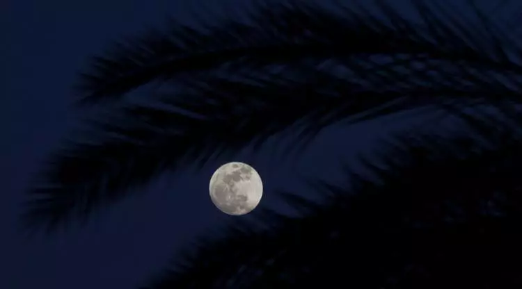 Fakta bulan purnama © 2020 liputan6.com/Arya Manggala ; AP Photo/Ariel Schalit via liputan6.com Fakta bulan purnama © 2020 liputan6.com/Arya Manggala ; AP Photo/Ariel Schalit via liputan6.com