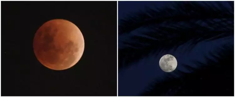 4 Fakta bulan purnama 'Worm Moon', fenomena langit hari ini