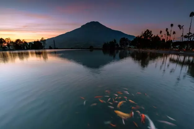 10 Destinasi panorama alam seperti Ranu Manduro © 2020 brilio.net