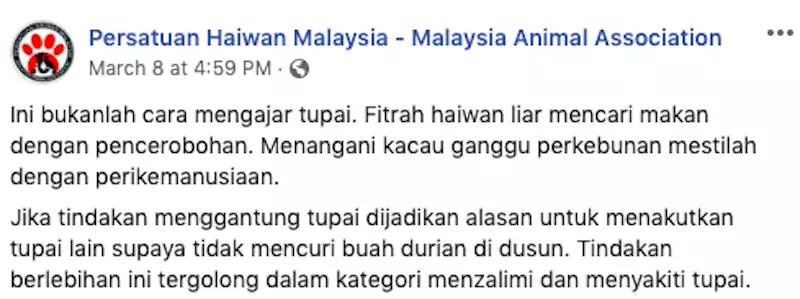 Aksi tupai diikat © 2020 brilio.net