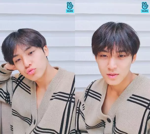 Mingyu Seventeen  © 2020 Instagram/@min9yu_k