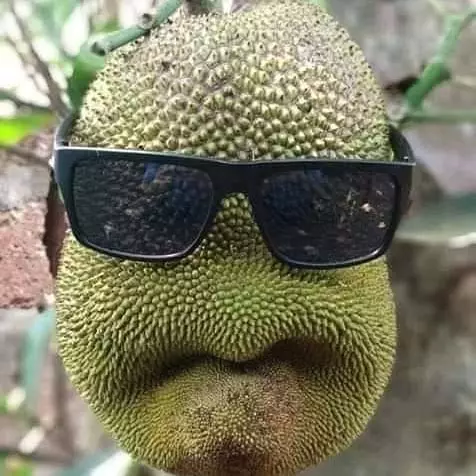 penampakan benda mirip wajah © 2020 instagram.com