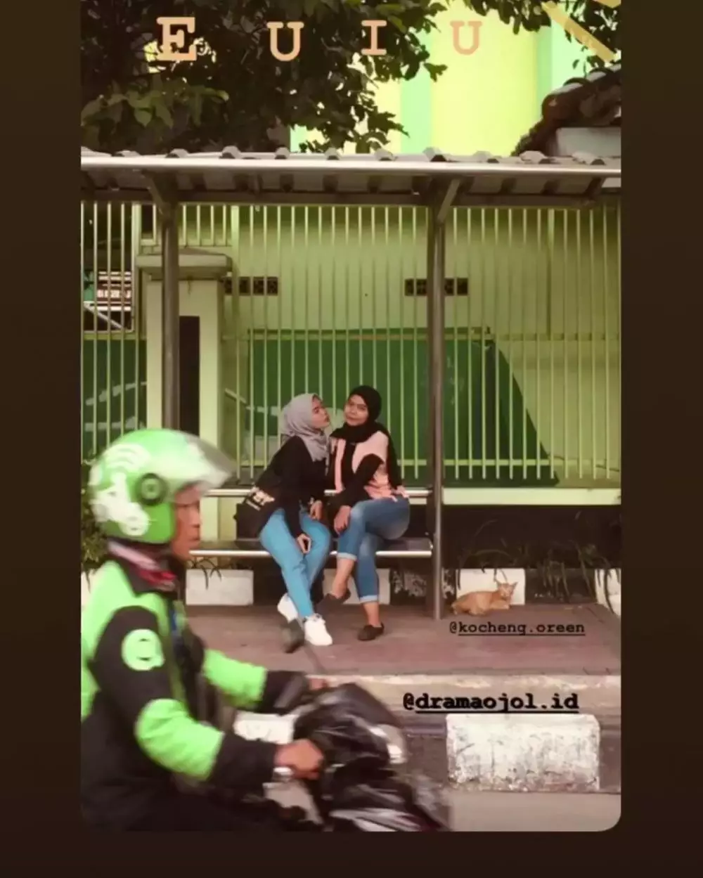 momen driver ojek online jadi photobomb © 2020 instagram.com