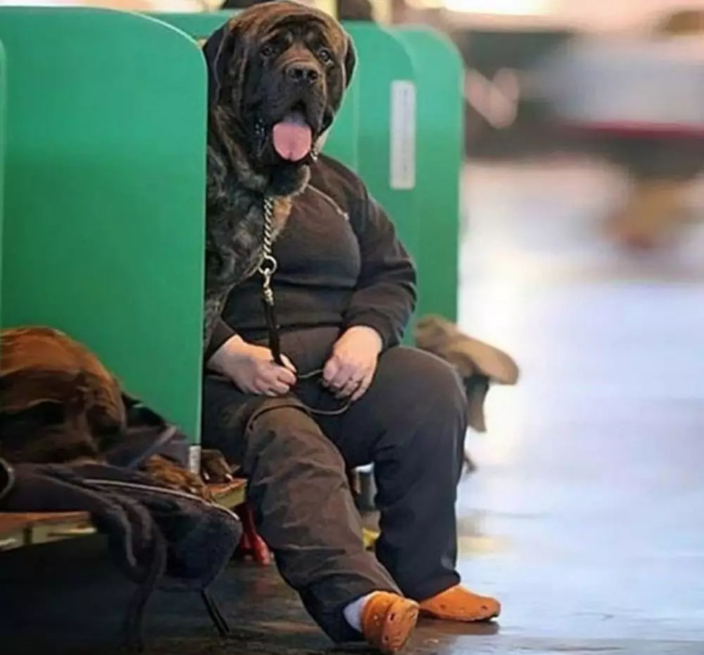 10 Momen pas ini bikin mikir dua kali Berbagai sumber 10 Momen pas ini bikin mikir dua kali Berbagai sumber