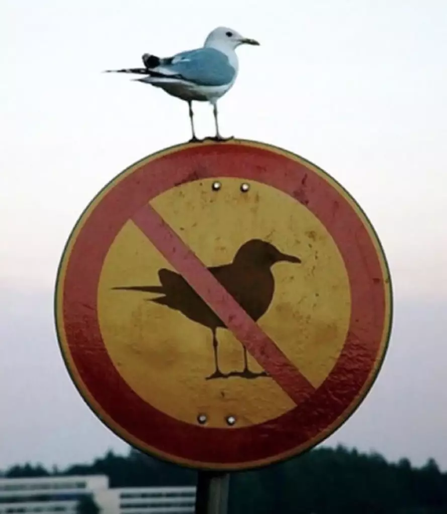 10 Momen pas ini bikin mikir dua kali Berbagai sumber 10 Momen pas ini bikin mikir dua kali Berbagai sumber