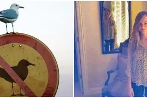 10 Momen pas ini bikin mikir dua kali, gambarnya menipu mata