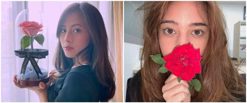 zara dania mariposa istimewa