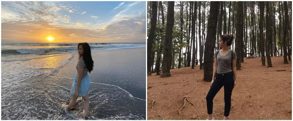 zara dania mariposa istimewa zara dania mariposa istimewa