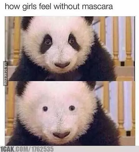 potret lucu The Power of Makeup © 2020 1cak.com