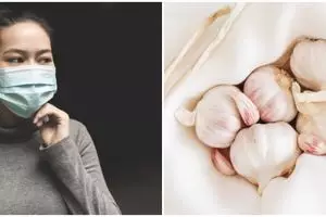 8 Makanan penambah imun tubuh, antisipasi cegah Corona