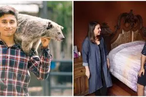 8 Potret kamar mewah Alshad sepupu Raffi Ahmad, ada jembatannya