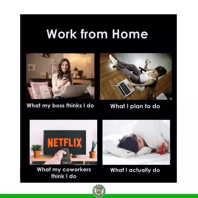 Meme 'work from home' berbagai sumber Meme 'work from home' berbagai sumber