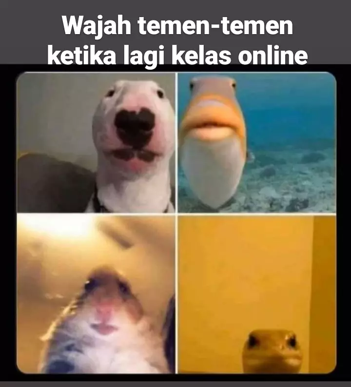 Meme 'work from home' berbagai sumber Meme 'work from home' berbagai sumber