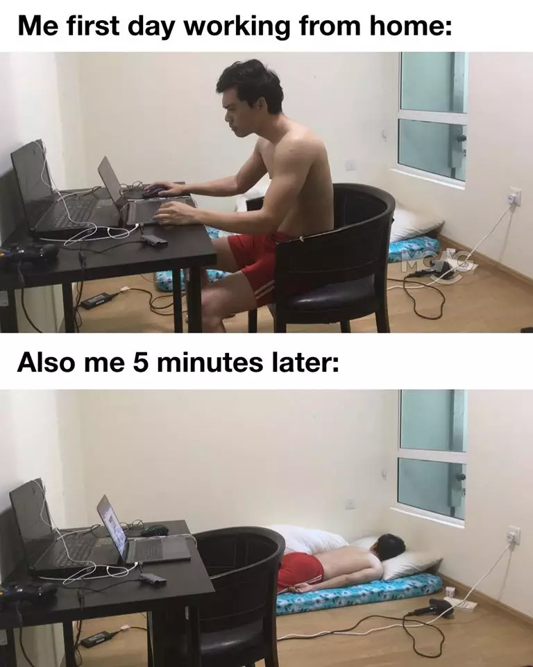 Meme 'work from home' berbagai sumber Meme 'work from home' berbagai sumber