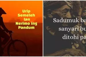 103 Kata-kata pepatah Jawa beserta artinya, penuh makna
