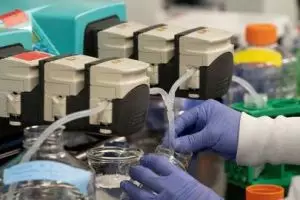 Selesai uji Favipiravir, China siap produksi massal vaksin Corona