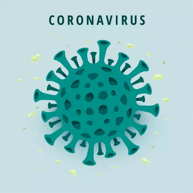 5 Virus yang pernah gemparkan dunia selama 15 tahun terakhir © 2020 brilio.net