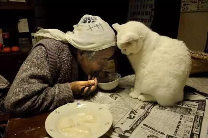 potret haru kebersamaan nenek dengan seekor kucing Miyoko Ihara potret haru kebersamaan nenek dengan seekor kucing Miyoko Ihara