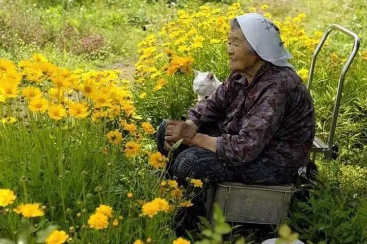 potret haru kebersamaan nenek dengan seekor kucing Miyoko Ihara potret haru kebersamaan nenek dengan seekor kucing Miyoko Ihara