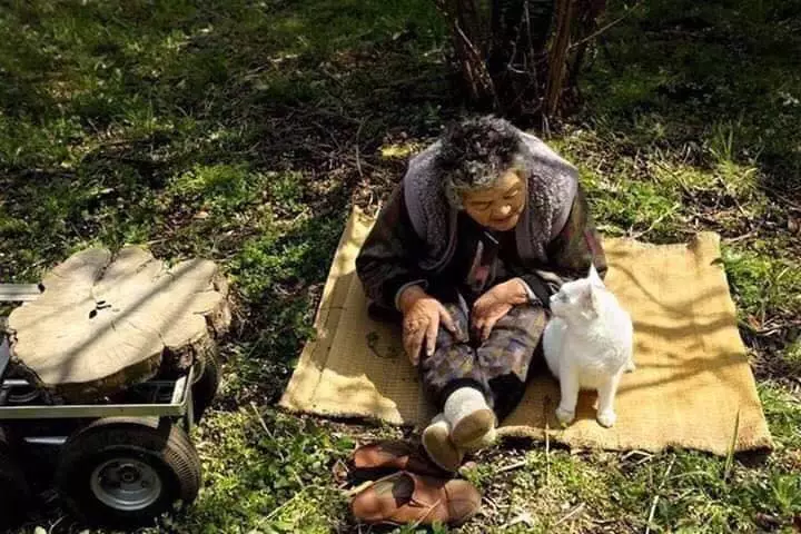 potret haru kebersamaan nenek dengan seekor kucing Miyoko Ihara potret haru kebersamaan nenek dengan seekor kucing Miyoko Ihara