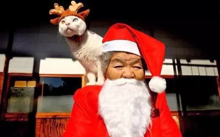 potret haru kebersamaan nenek dengan seekor kucing Miyoko Ihara potret haru kebersamaan nenek dengan seekor kucing Miyoko Ihara