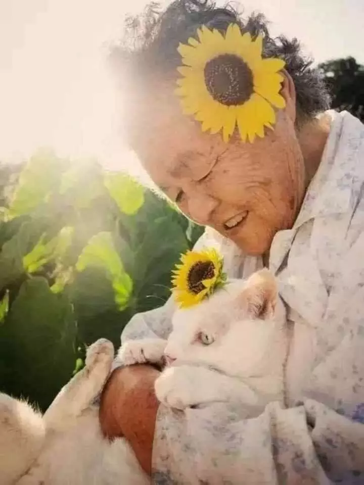 potret haru kebersamaan nenek dengan seekor kucing Miyoko Ihara potret haru kebersamaan nenek dengan seekor kucing Miyoko Ihara