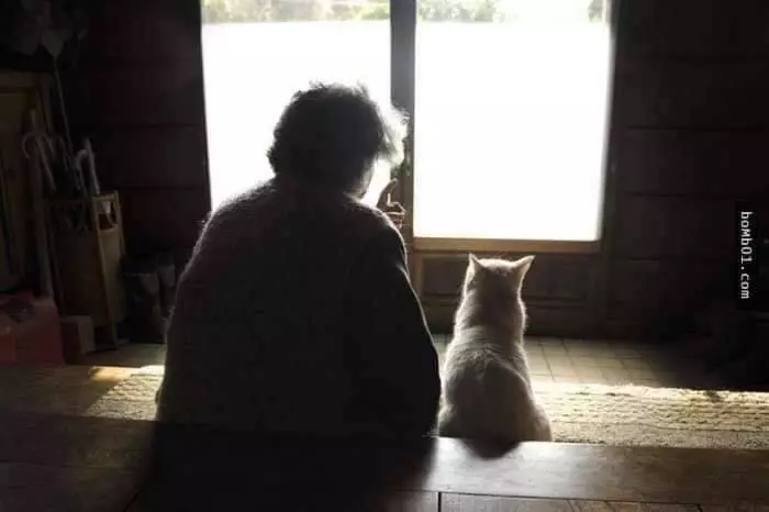 potret haru kebersamaan nenek dengan seekor kucing Miyoko Ihara potret haru kebersamaan nenek dengan seekor kucing Miyoko Ihara