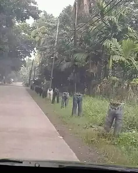 cara pakai barang bekas nyeleneh © 2020 instagram.com cara pakai barang bekas nyeleneh © 2020 instagram.com