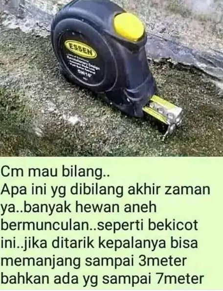 10 Meme lucu pertanyaan lucu.me