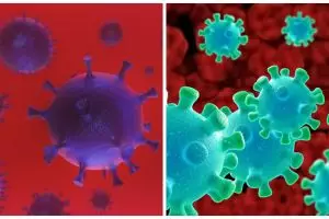 Darah pasien sembuh Corona bisa obati orang lain, ini penjelasannya