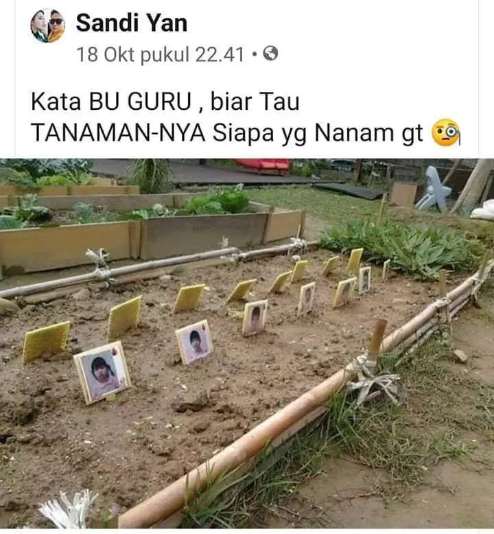 status FB lucu bikin tertipu © 2020 instagram.com