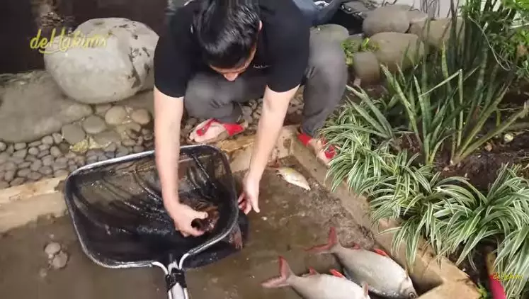 kesedihan Irfan Hakim ikannya mati youTube