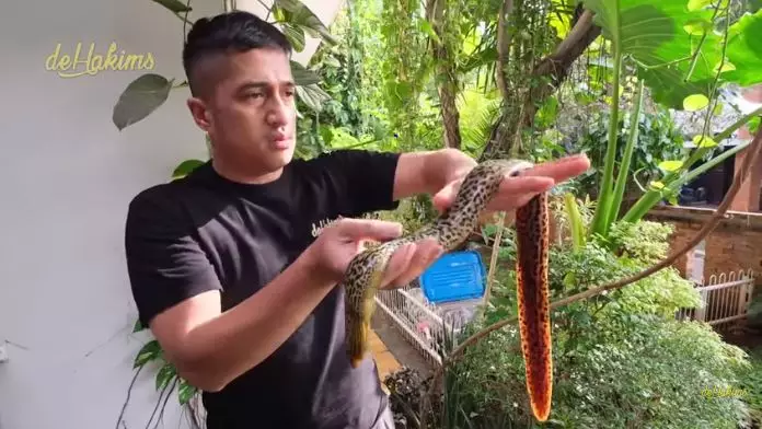 kesedihan Irfan Hakim ikannya mati youTube