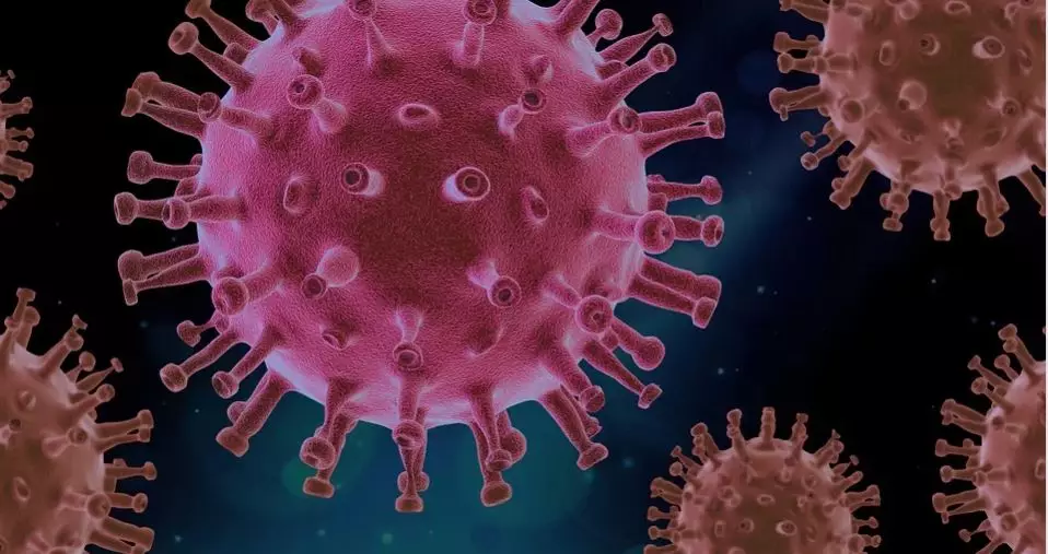 Cara mencegah virus Corona Kemenkes pixabay Cara mencegah virus Corona Kemenkes pixabay