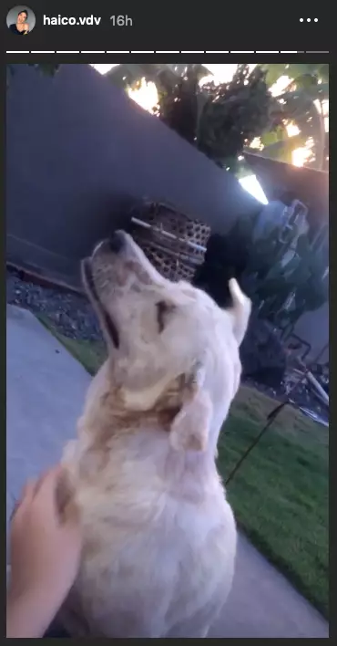 Aktivitas Haico Van der Veken Instagram Aktivitas Haico Van der Veken Instagram