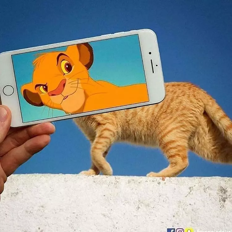 Perpaduan foto yang pas banget ini bikin tepuk jidat Instagram/ @francoisdourlen    Perpaduan foto yang pas banget ini bikin tepuk jidat Instagram/ @francoisdourlen