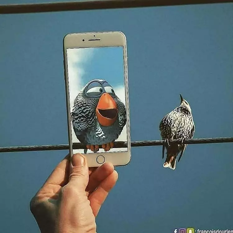 Perpaduan foto yang pas banget ini bikin tepuk jidat Instagram/ @francoisdourlen    Perpaduan foto yang pas banget ini bikin tepuk jidat Instagram/ @francoisdourlen