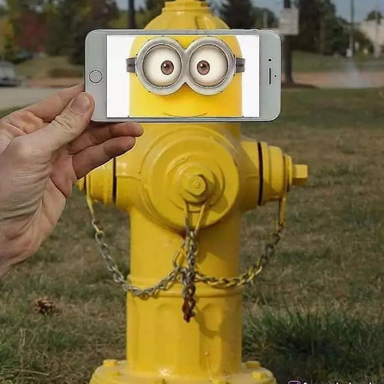 Perpaduan foto yang pas banget ini bikin tepuk jidat Instagram/ @francoisdourlen    Perpaduan foto yang pas banget ini bikin tepuk jidat Instagram/ @francoisdourlen