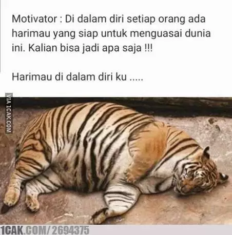 Meme rebahan 1cak.com