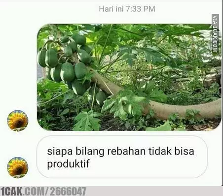 Meme rebahan 1cak.com