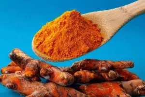 Temulawak tingkatkan imun tubuh, ini kata pakar kesehatan