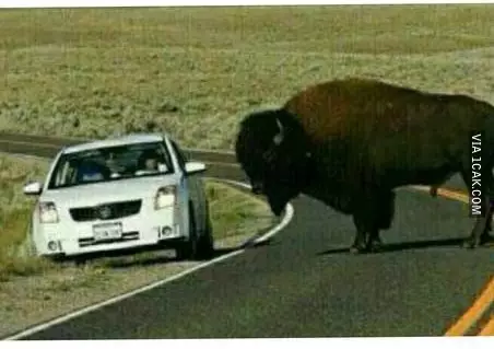 7 Potret terlalu percaya Google berbagai sumber