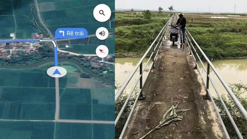 7 Potret terlalu percaya Google berbagai sumber