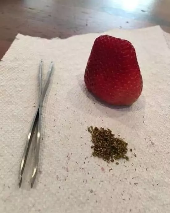 cara nyeleneh isi waktu luang © 2020 instagram.com