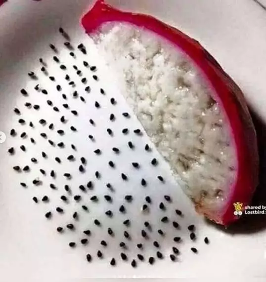 cara nyeleneh isi waktu luang © 2020 instagram.com