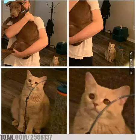 potret harusnya aku yang di sana © 2020 1cak.com