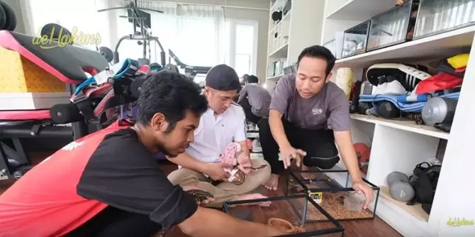 Sule hidup susah © 2020 brilio.net