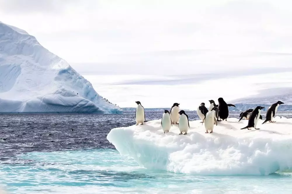 Lokasi ini disebut ilmuwan sebagai tempat paling aman dari virus corona Instagram