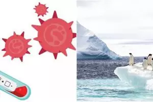 Lokasi ini disebut tempat paling aman dari virus corona